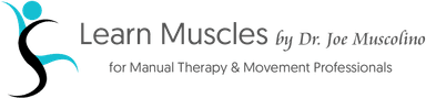 Learn Muscles coupon codes