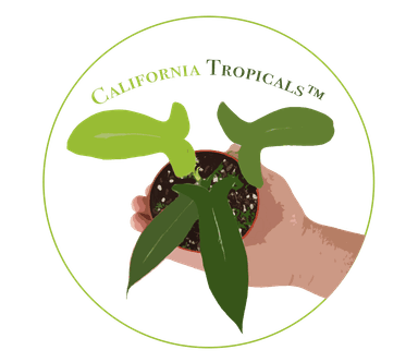 California Tropicals coupon codes