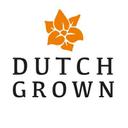 DutchGrown coupon codes