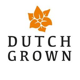 DutchGrown coupon codes