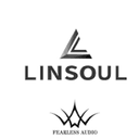 Linsoul coupon codes